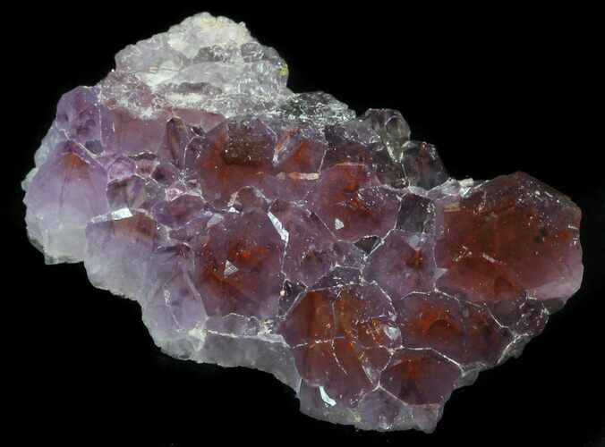 Thunder Bay Amethyst Cluster With Hematite #34020
